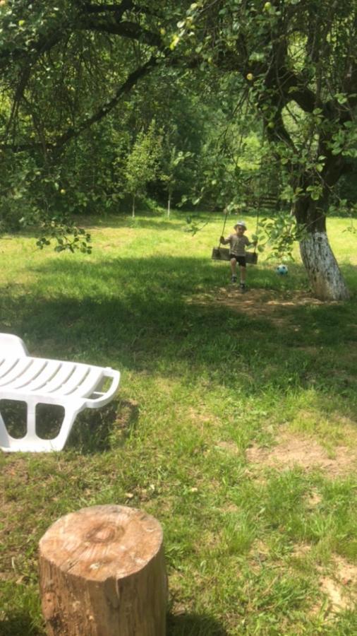 Pensiunea Felyviss Albac Esterno foto