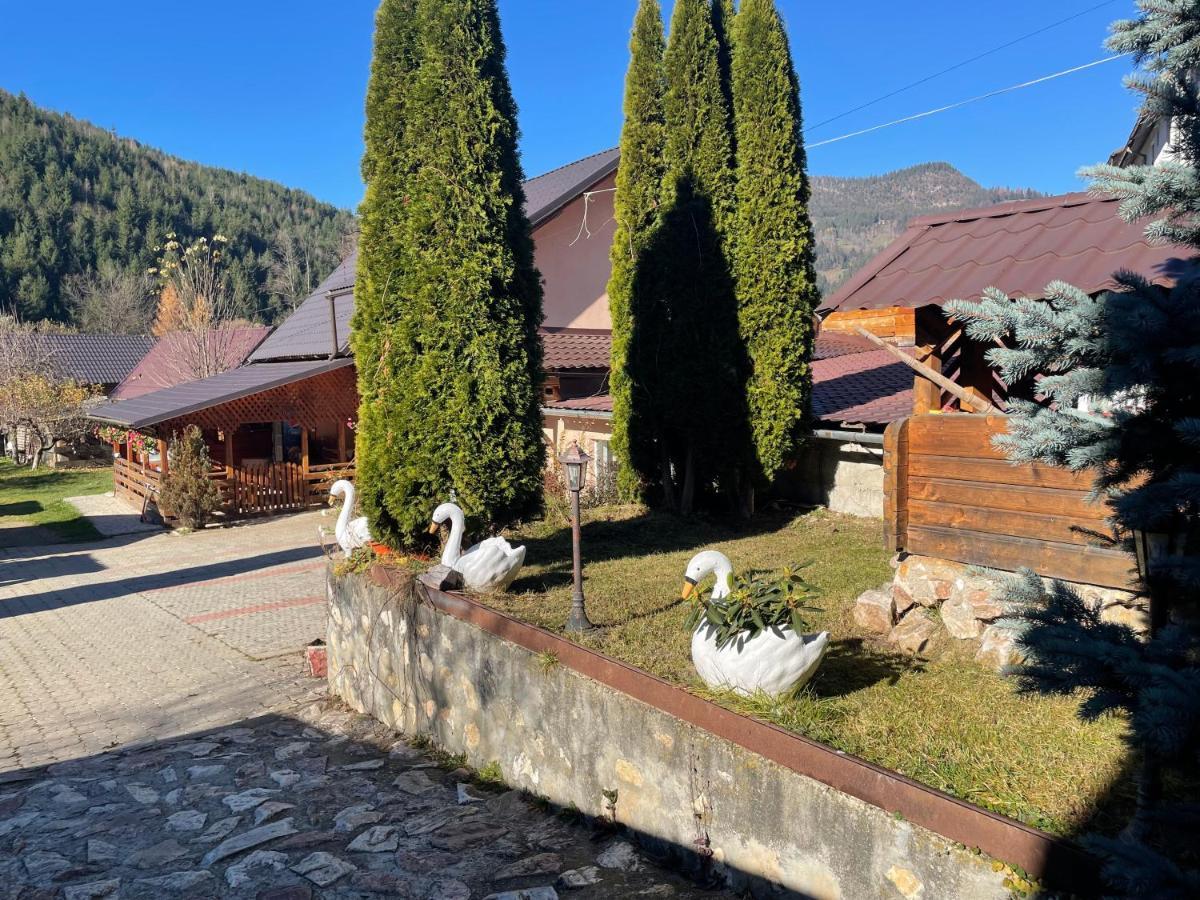 Pensiunea Felyviss Albac Esterno foto