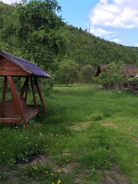 Pensiunea Felyviss Albac Esterno foto