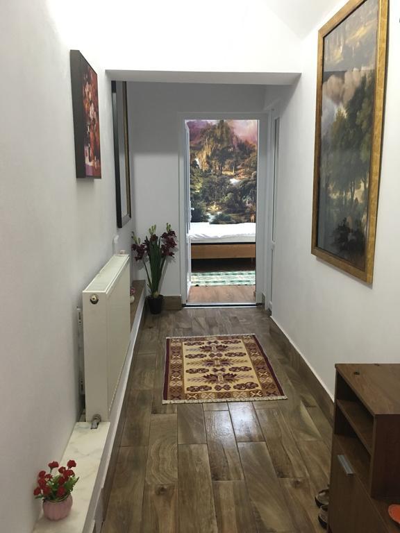 Pensiunea Felyviss Albac Esterno foto